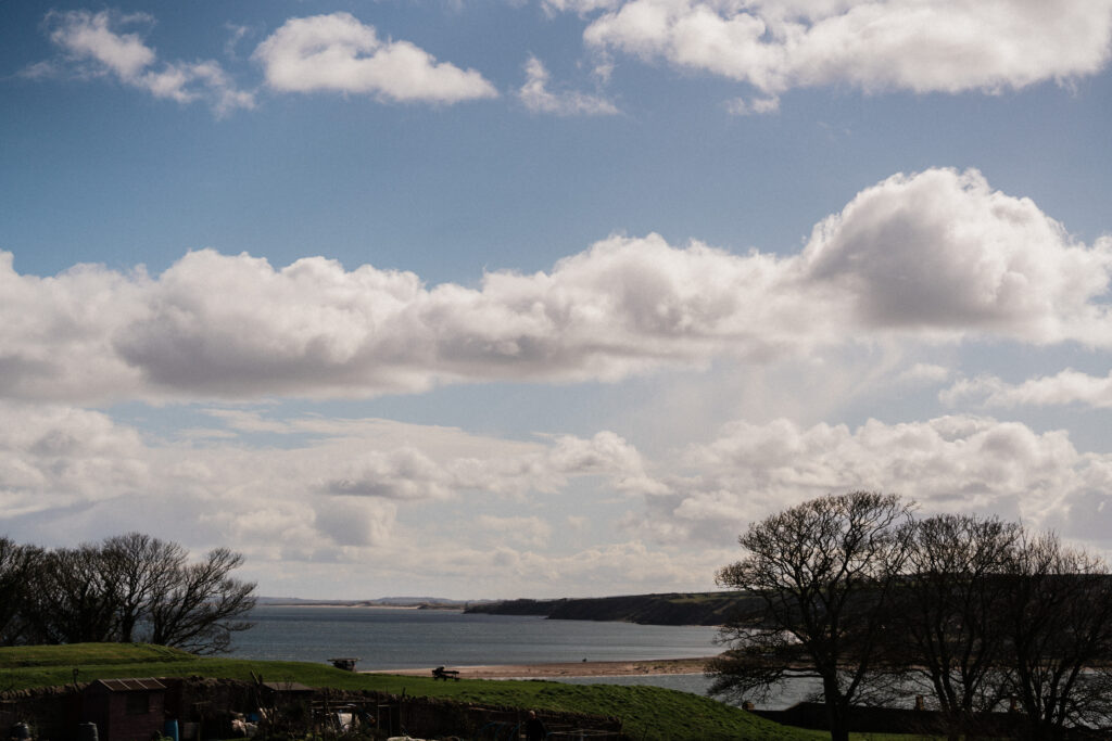 vast blue sky streaked with clouds, water and trees in the foreground