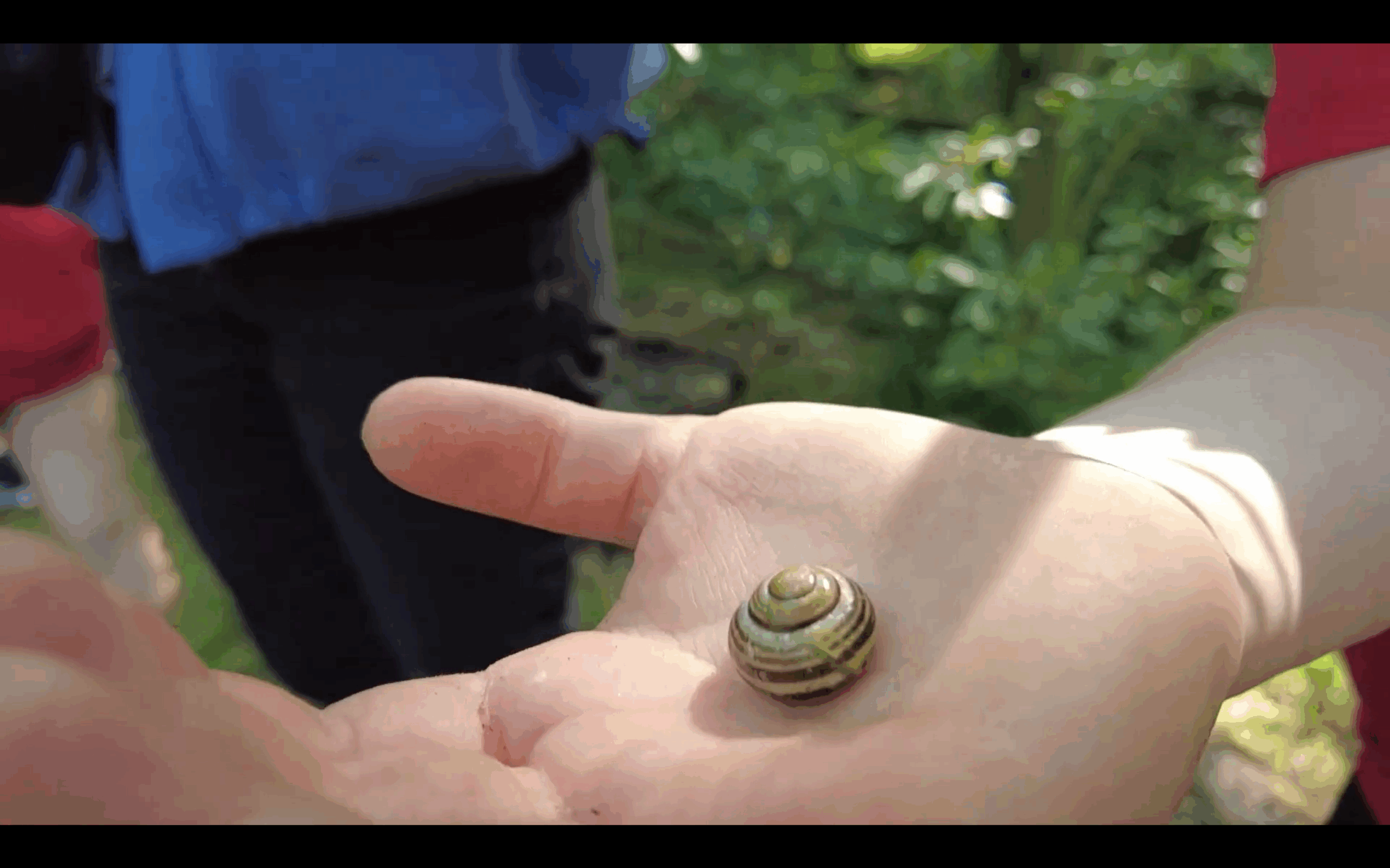 small hand holding a small snail