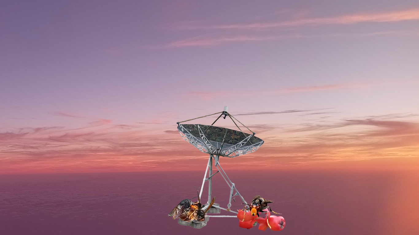 two bees perched on a satellite dish structure during sunset. Close-up of insects on technology with colorful sky background. Nature and technology contrast.